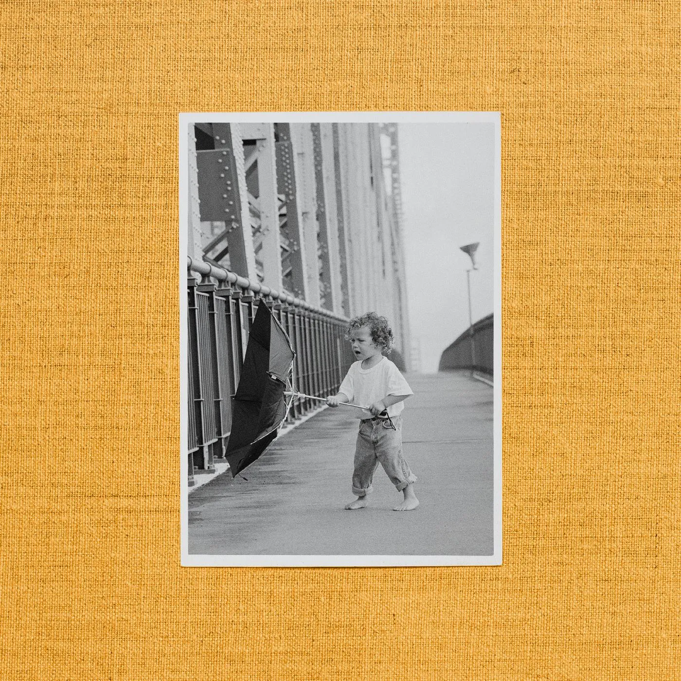Jordan Rakei Wallflower CD