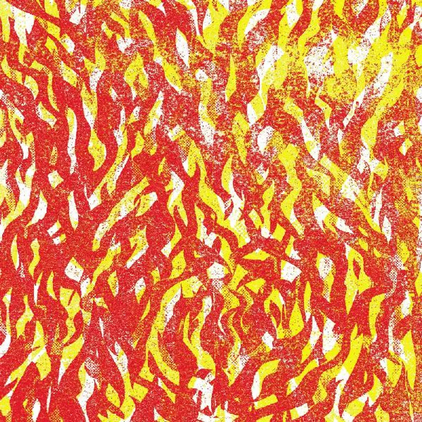 The Bug Fire CD