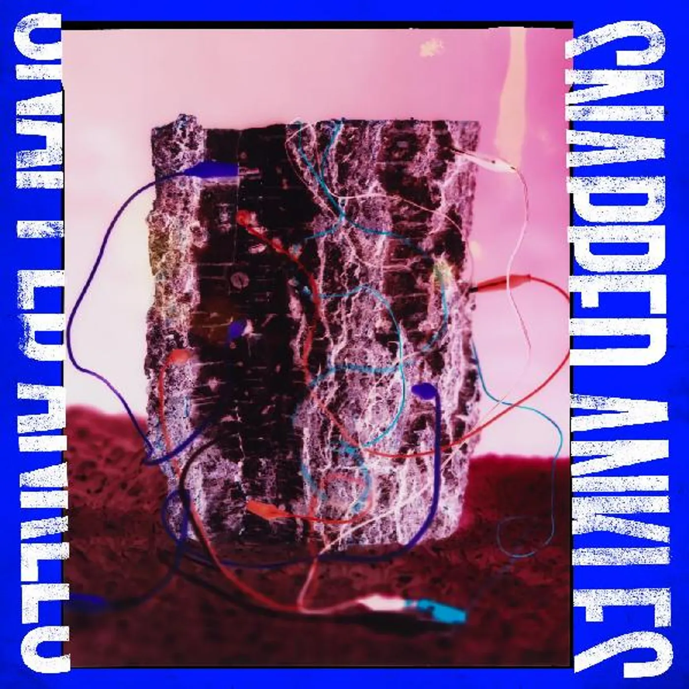 Snapped Ankles FOREST OF YOUR PROBLEMS (THE BUSINESS IMP EDITION) (DL CARD) Vinyl Record