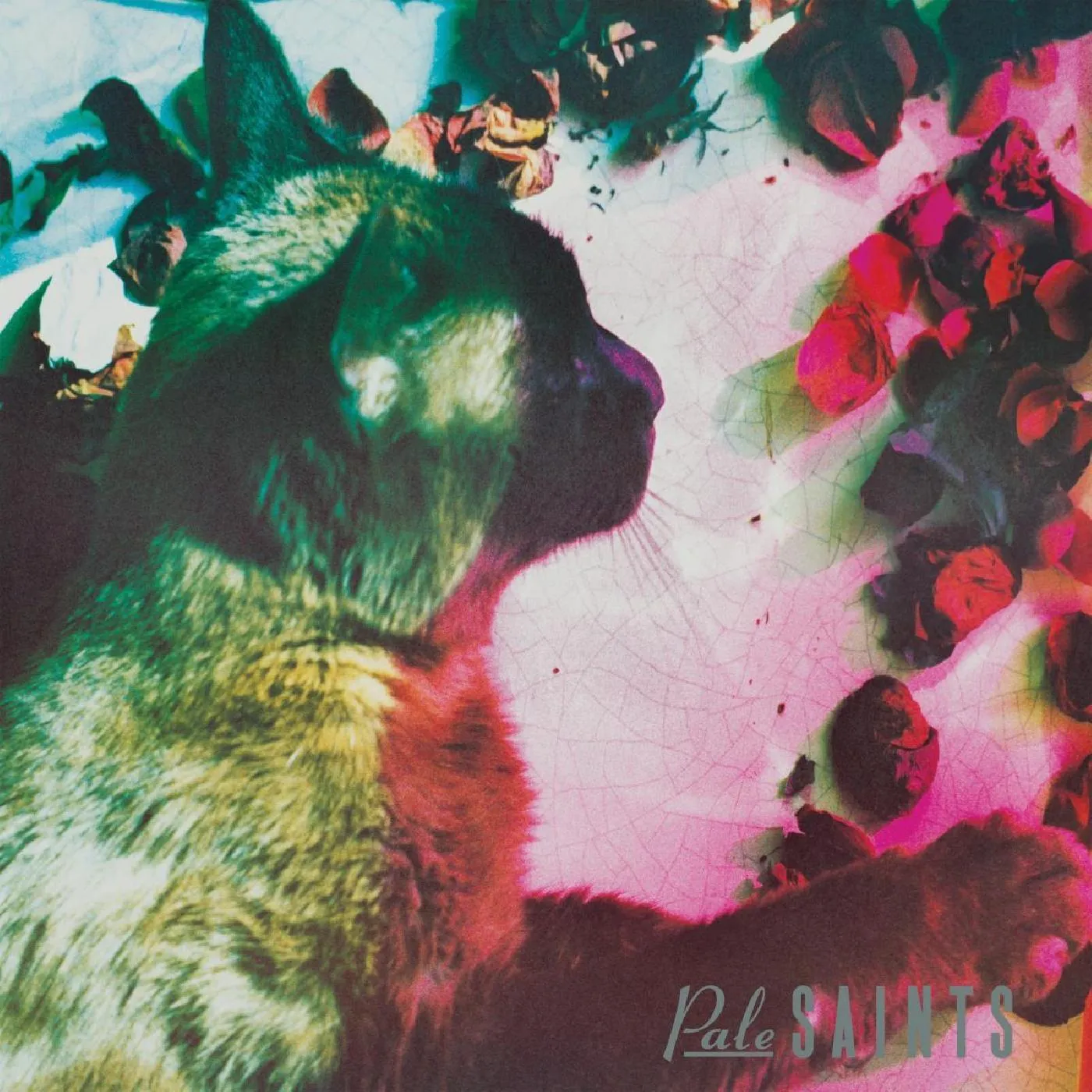 Pale Saints Comforts Of Madness (30 Th Anniversary Reissue) (Limited Clear 2 Xlp Edition Vinyl Record