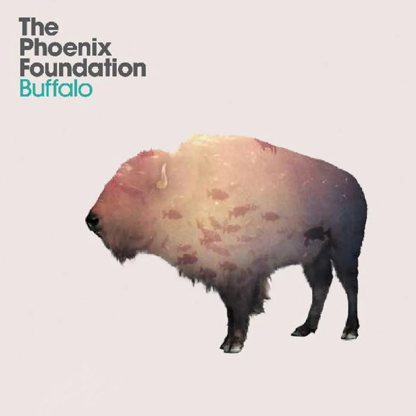 Phoenix Foundation Buffalo (Blue Vinyl) Vinyl Record