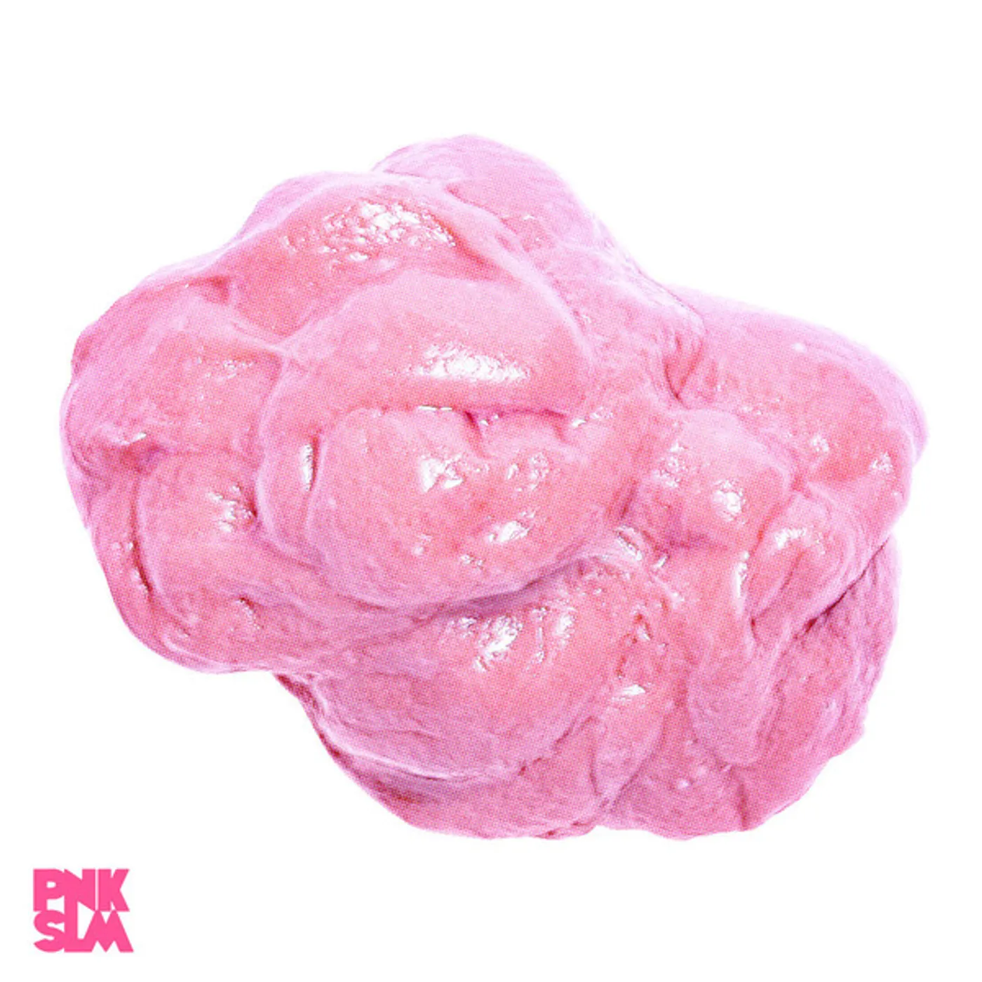 Magic Potion Pink Gum Vinyl Record