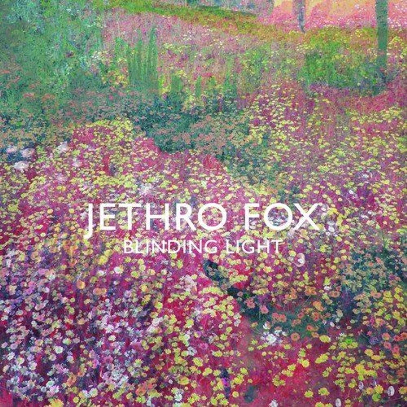 Jethro Fox Blinding Light Vinyl Record