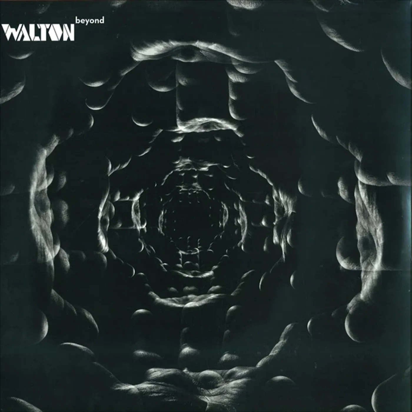 Walton Beyond (2 Lp) Vinyl Record