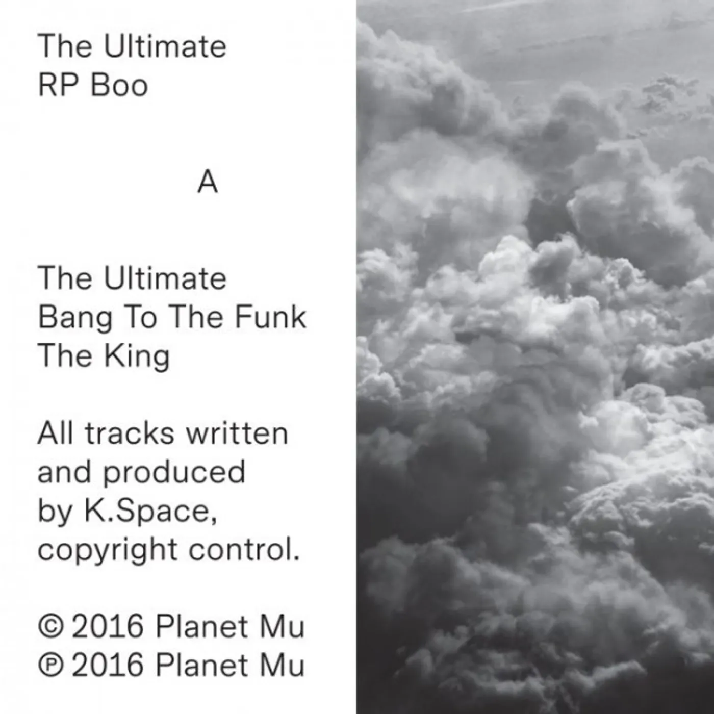 RP Boo The Ultimate Vinyl Record