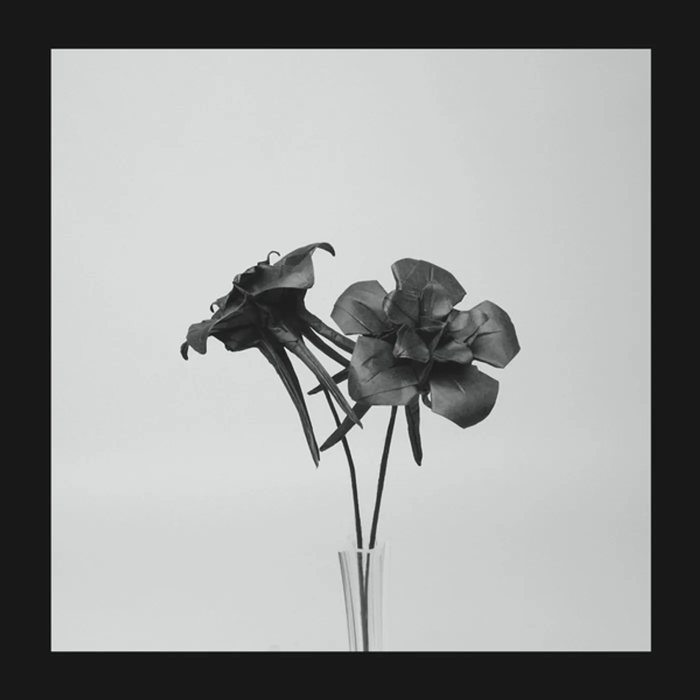 Jlin Dark Lotus Vinyl Record