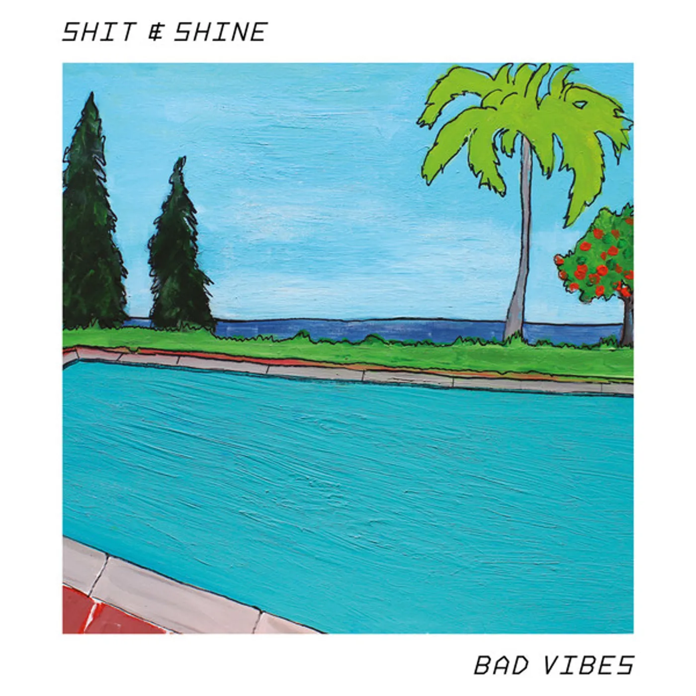 Shit And Shine Bad Vibes Vinyl Record