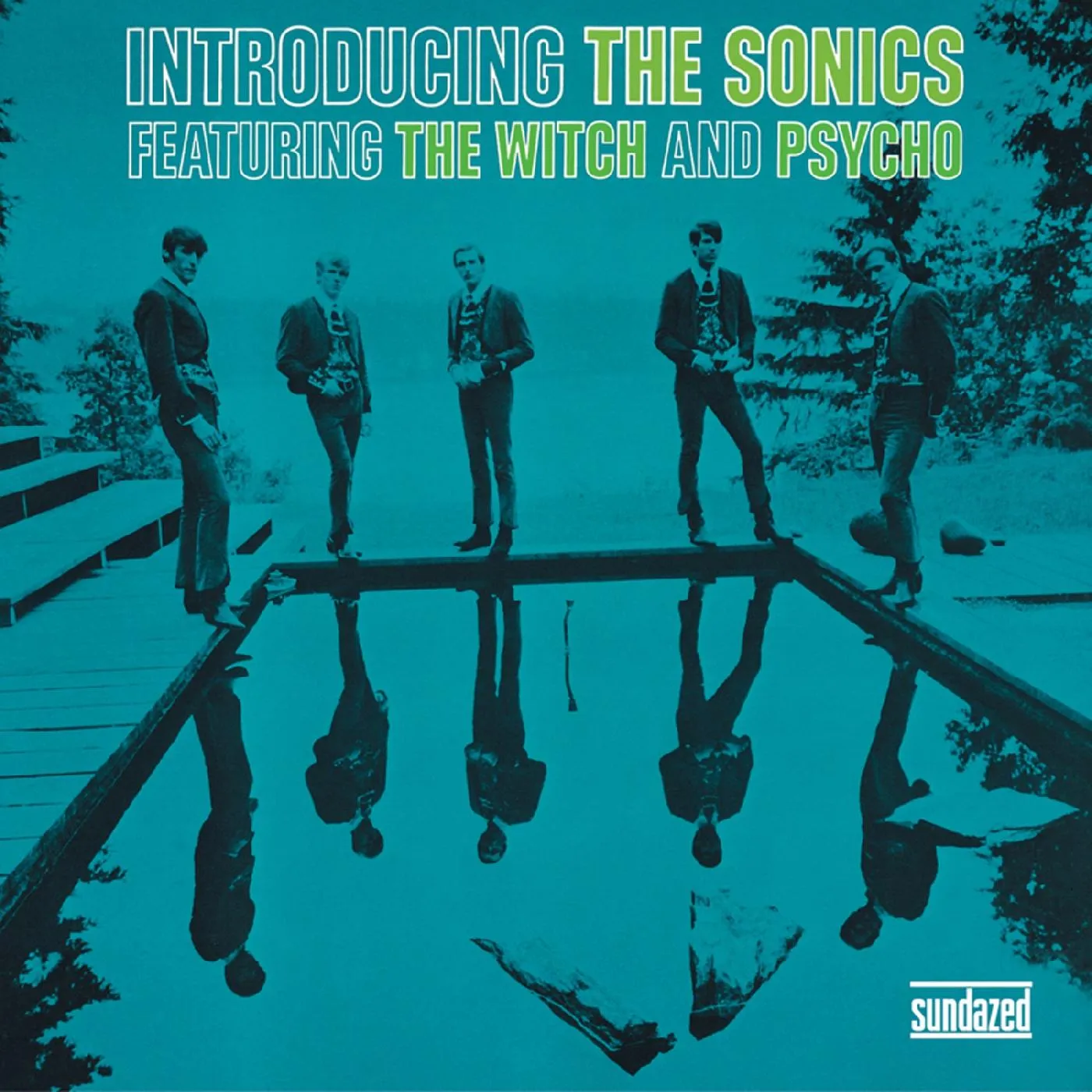 Introducing The Sonics Vinyl Record
