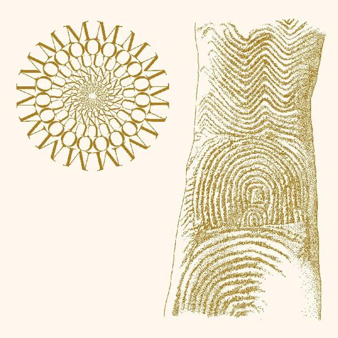 Moundabout Flowers Rot  Bring Me Stones (Brown & Cl Vinyl Record