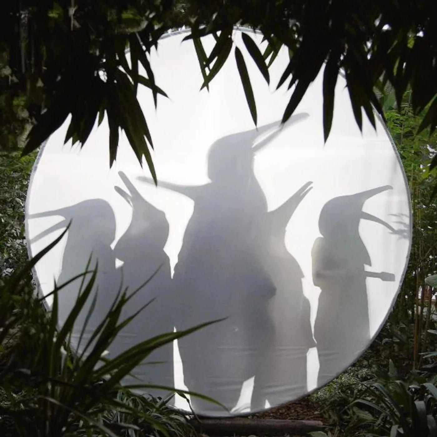 Penguin Cafe Rain Before Seven... (Clear Vinyl) Vinyl Record