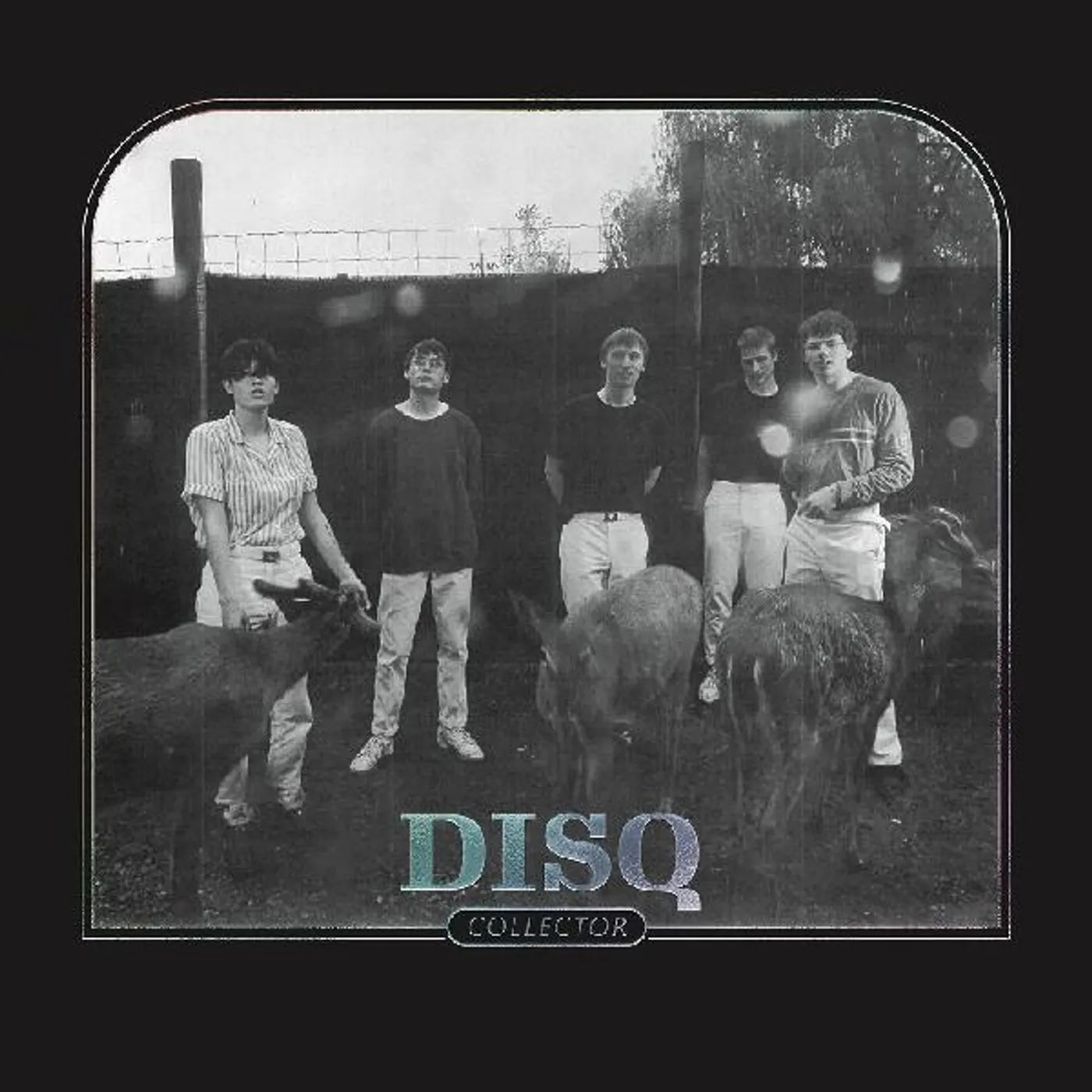 Disq Collector Vinyl Record
