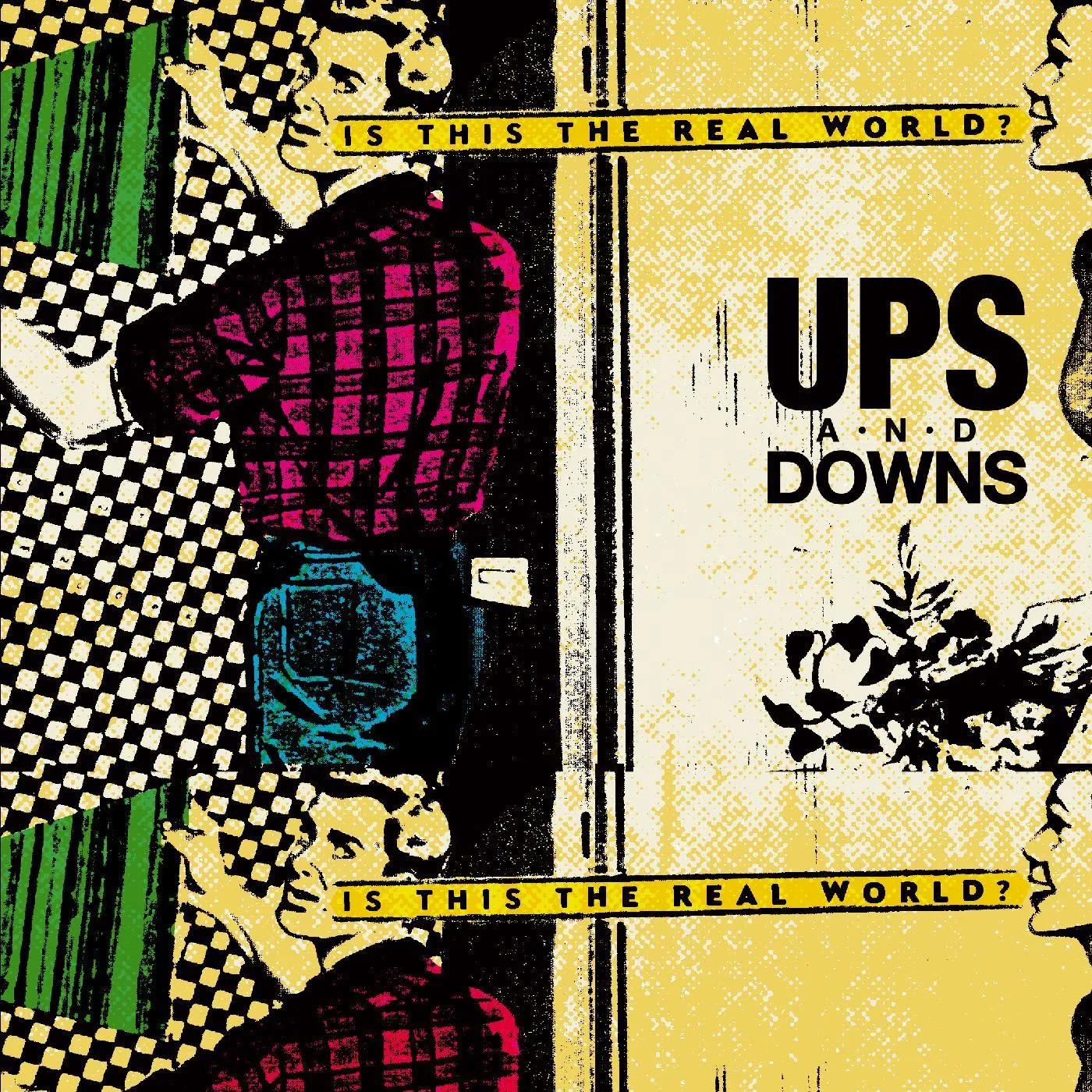 Ups and Downs REAL WORLD Vinyl Record