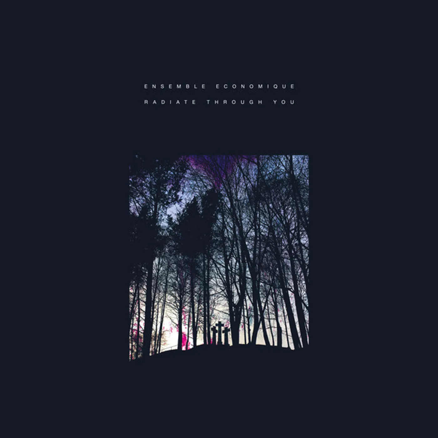 Ensemble Economique Radiate Through You Vinyl Record