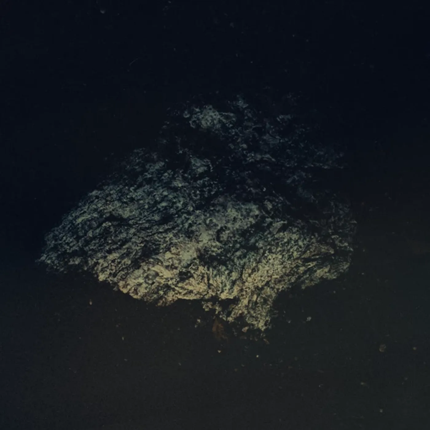 Multicast Dynamics Lost World Vinyl Record