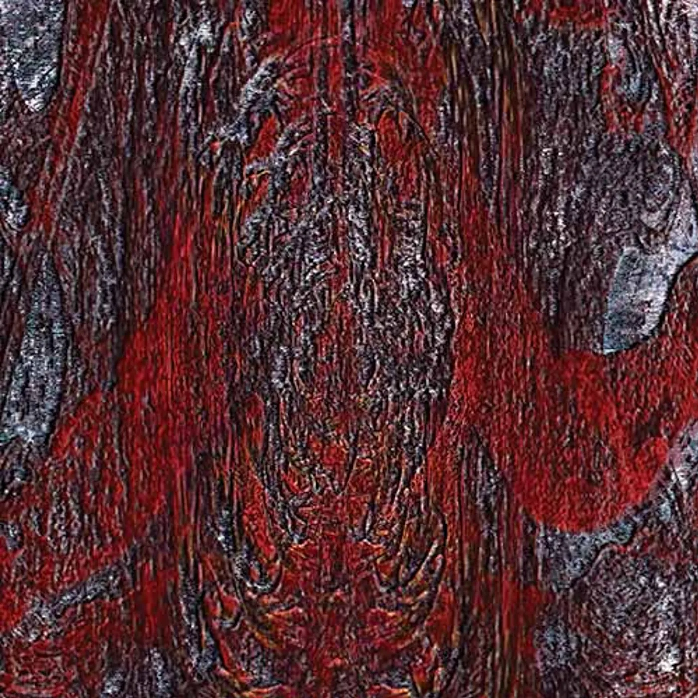 Asfast The Prime Same Vinyl Record