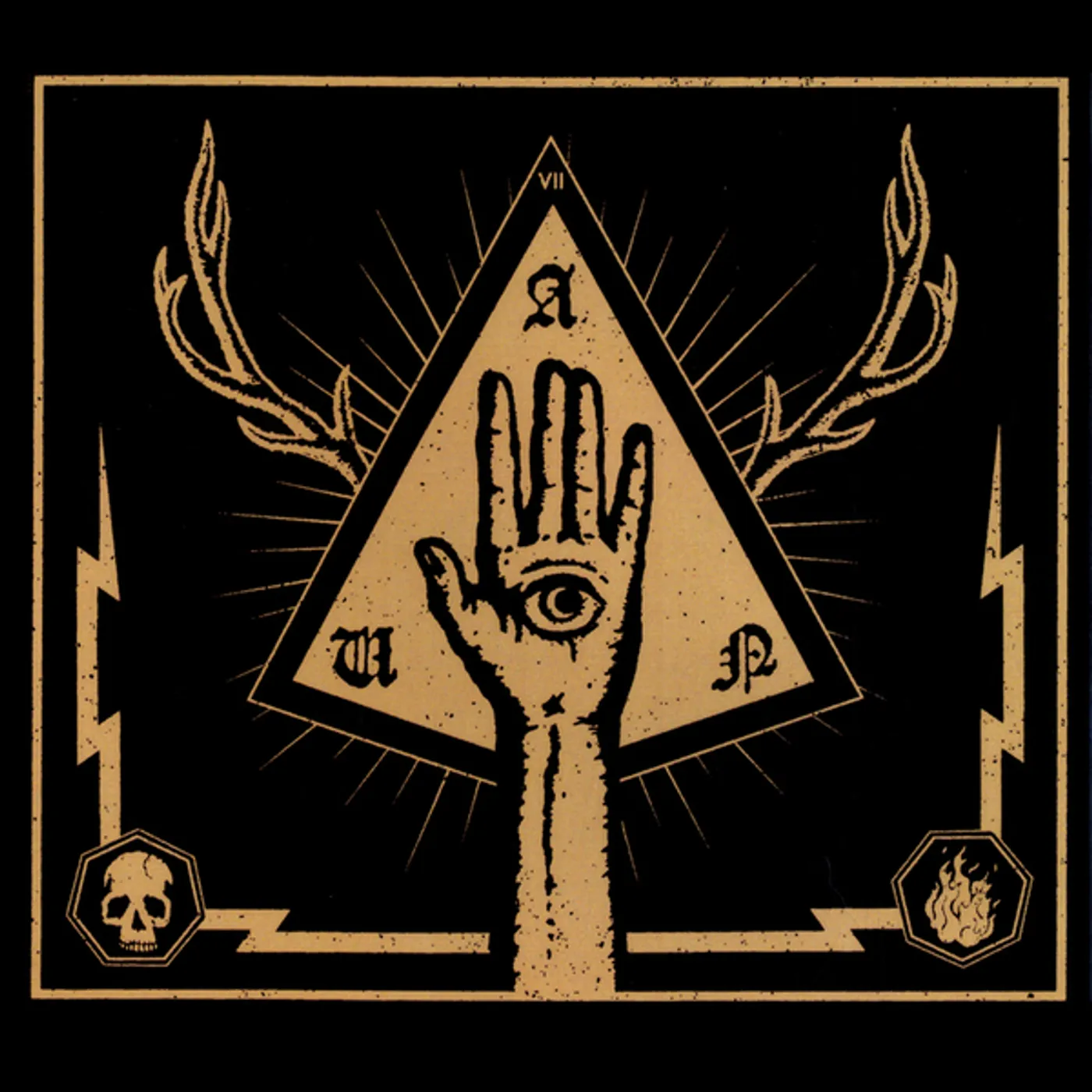 AUN Vii Vinyl Record