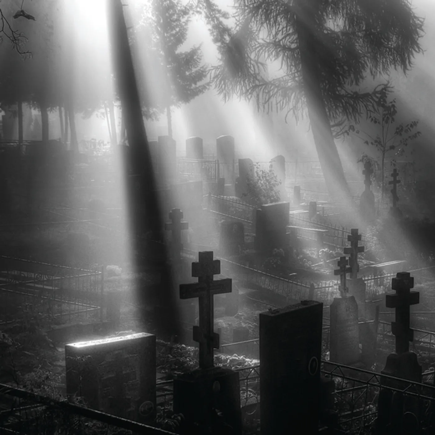 Oneirogen Veni Nox Anima Vinyl Record