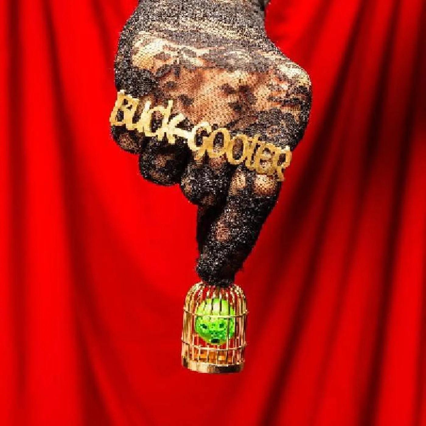 Buck Gooter HEAD IN A BIRD CAGE (DL CARD) Vinyl Record