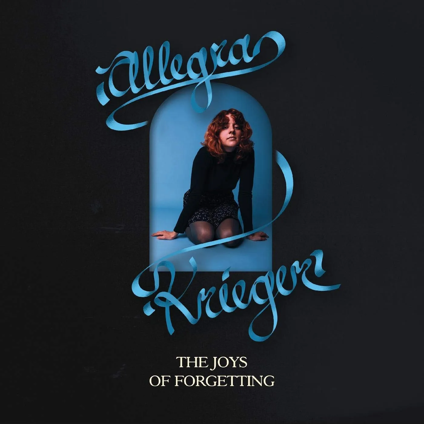 Allegra Krieger The Joys of Forgetting Vinyl Record