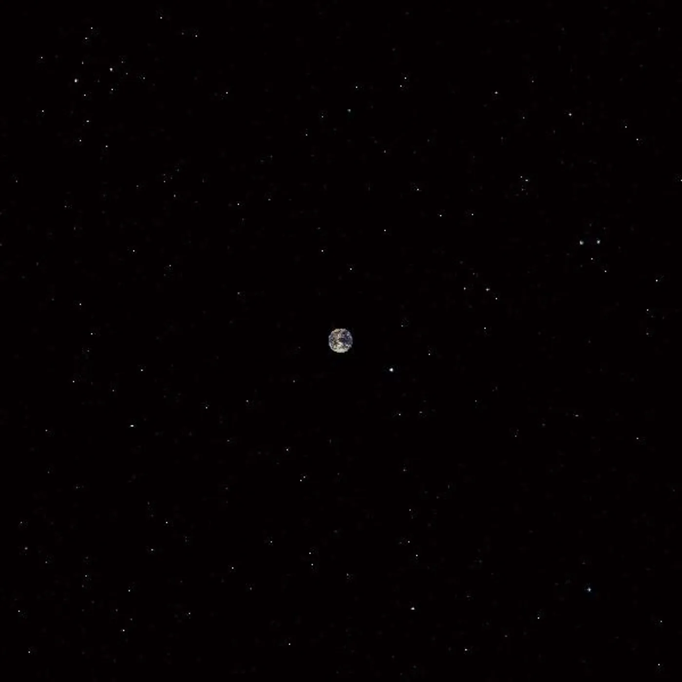 Ceramic Dog Hope Vinyl Record