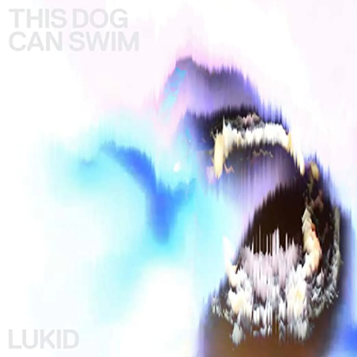 Lukid This Dog Can Swim 12 Vinyl Record