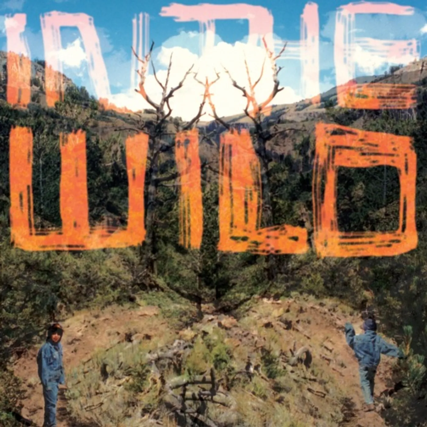 FaltyDL In The Wild Vinyl Record