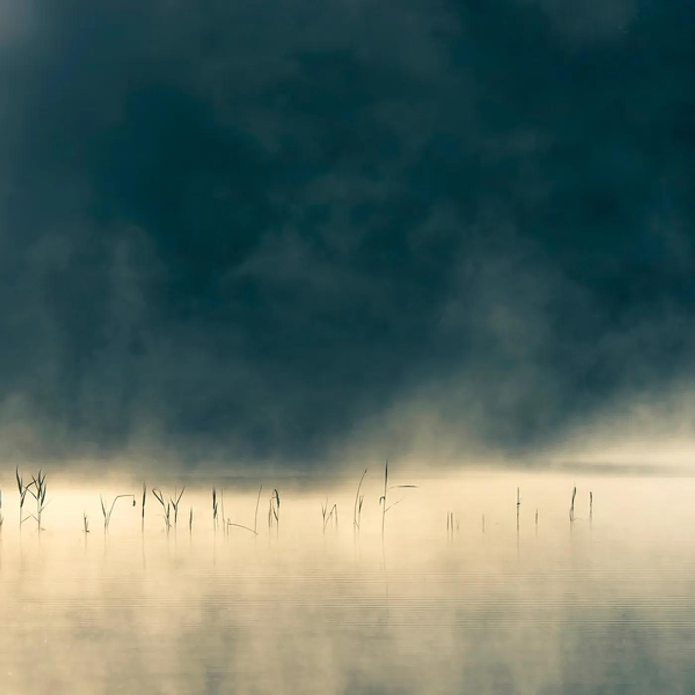 Oneirogen Convivium Vinyl Record