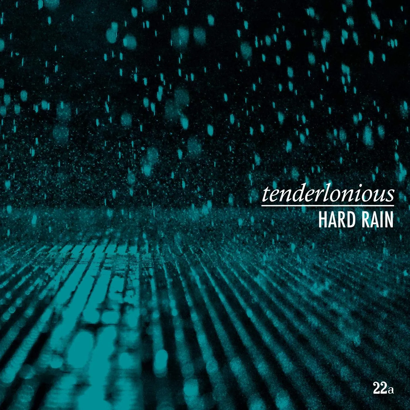 Tenderlonious Hard Rain Vinyl Record