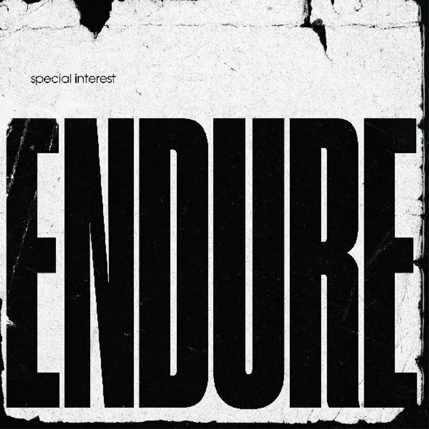 Special Interest Endure Vinyl Record