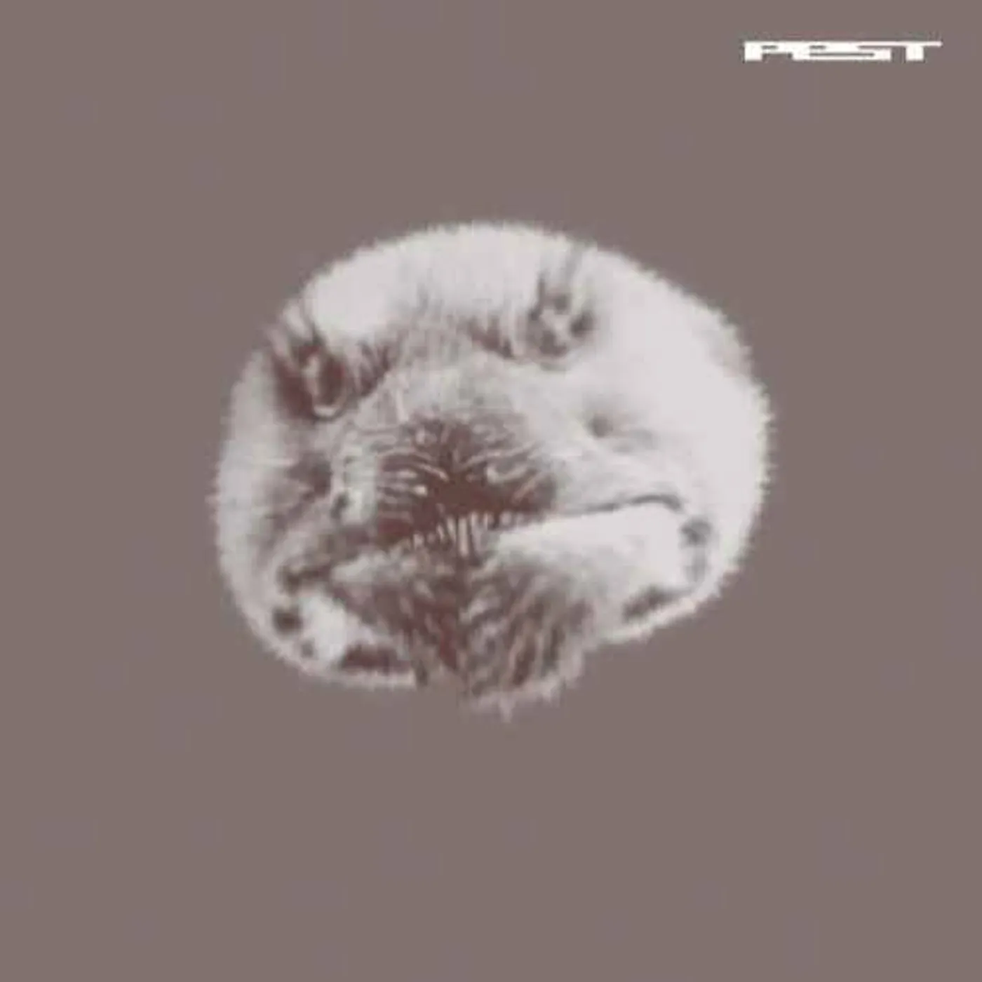 Pest Jefferson Shuffle Vinyl Record