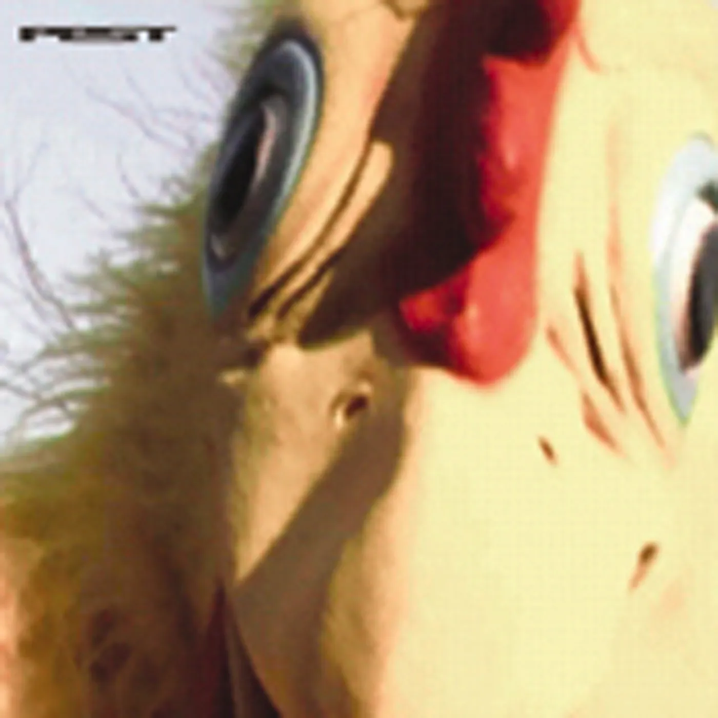 Pest Chicken Spit Vinyl Record