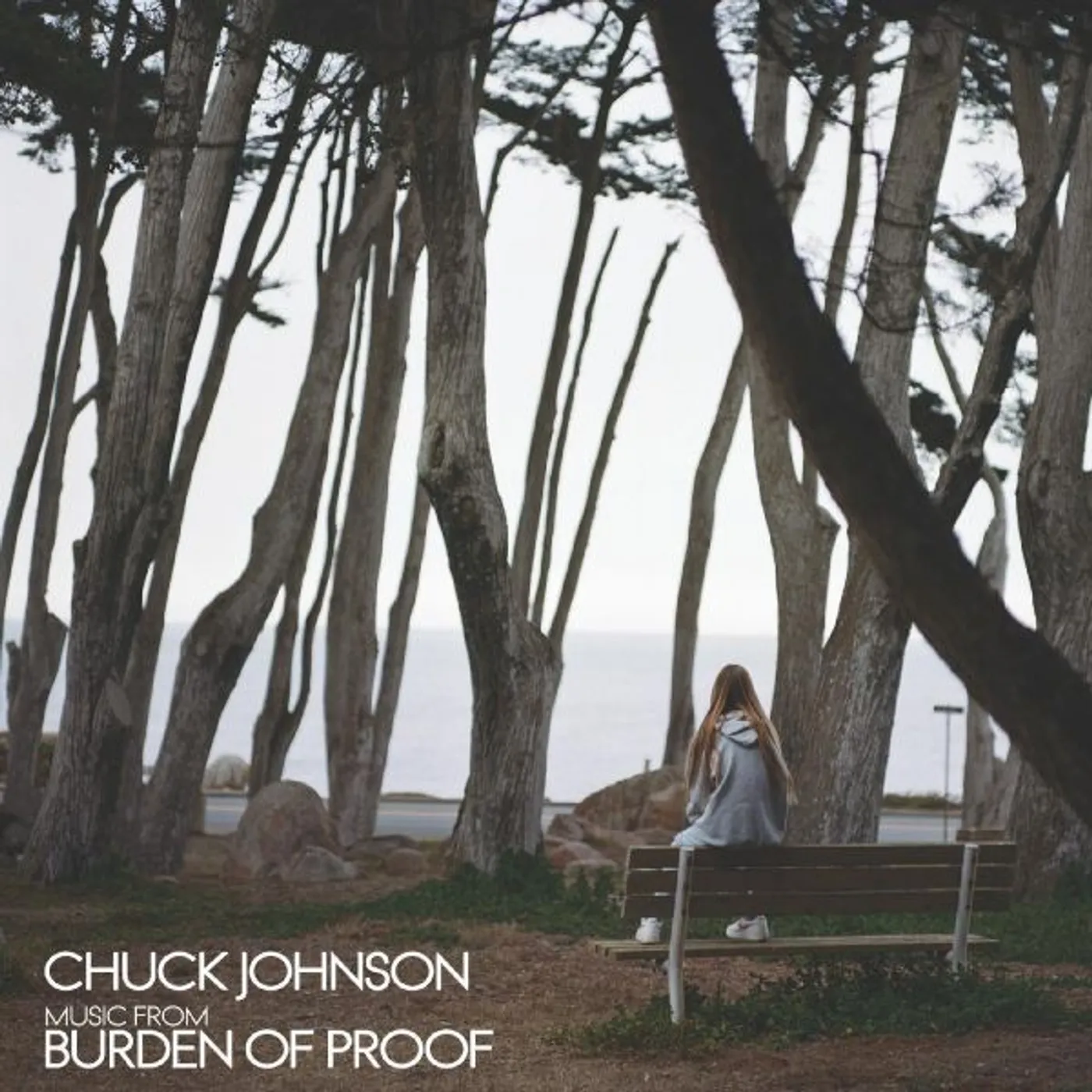 Chuck Johnson Burden Of Proof Vinyl Record