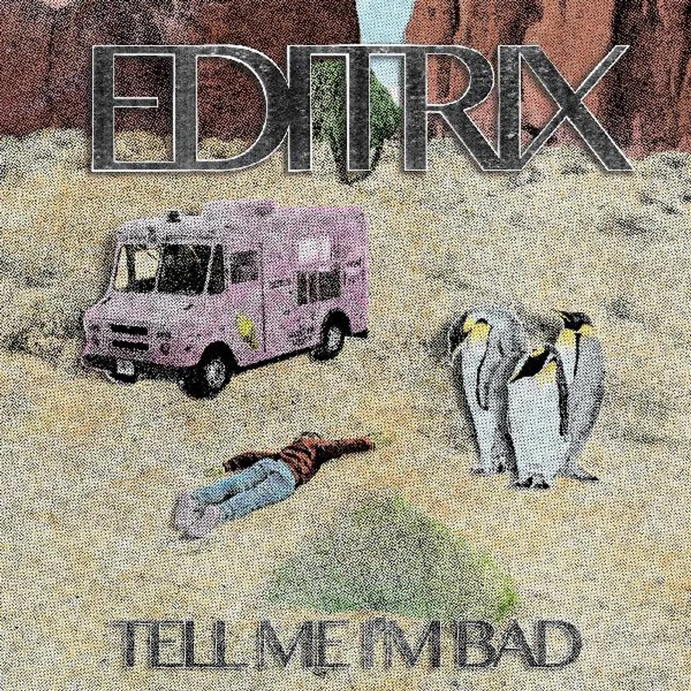 Editrix Tell Me I'm Bad Vinyl Record