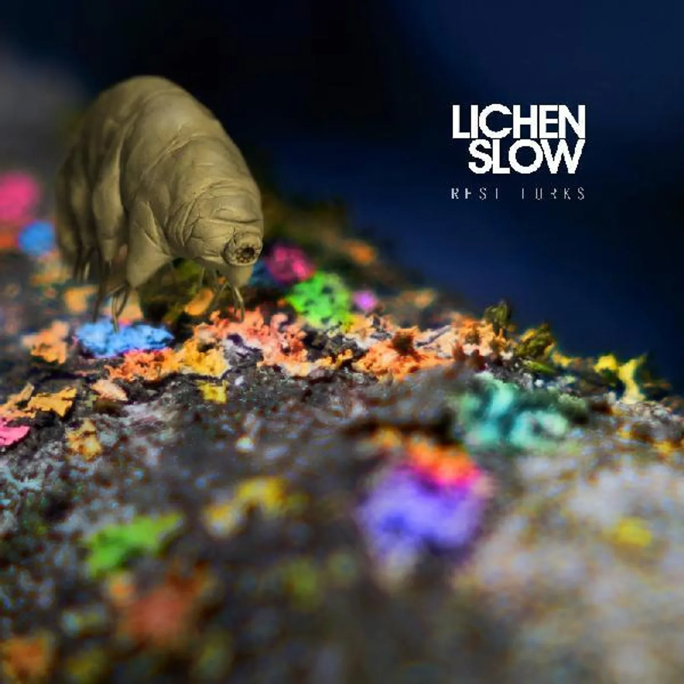 Lichen Slow Rest Lurks (Orange Vinyl) Vinyl Record
