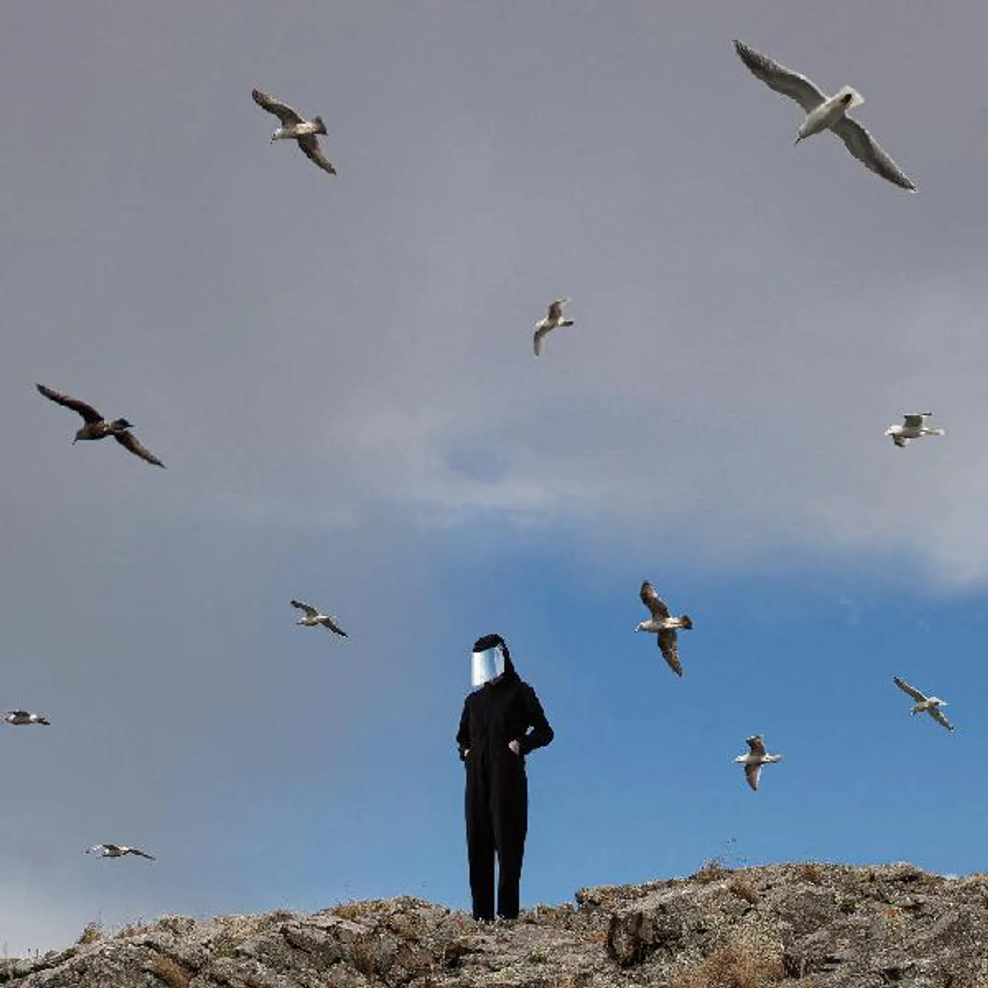 Hamerkop Remote Vinyl Record