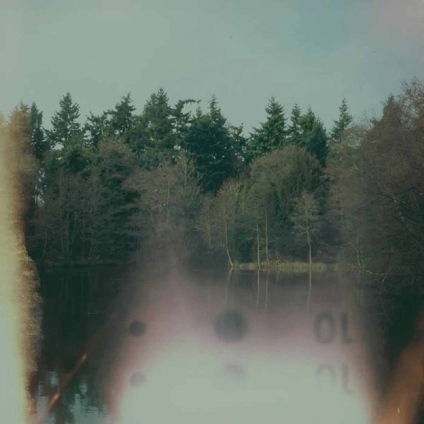 ILUITEQ LOSS OF WILDERNESS (COKE BOTTLE CLEAR VINYL/DL CARD) Vinyl Record