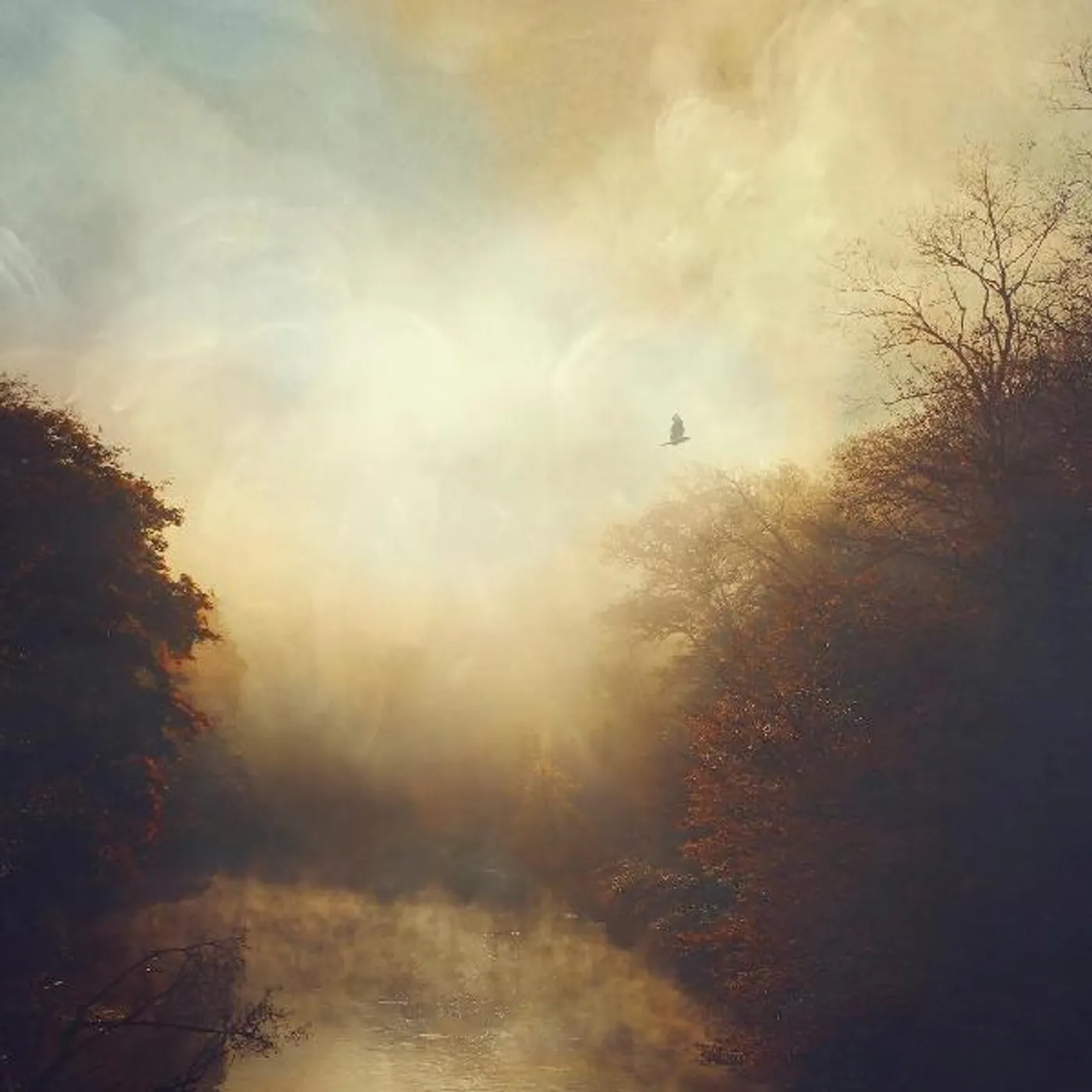 Stray Theories This Light Vinyl Record