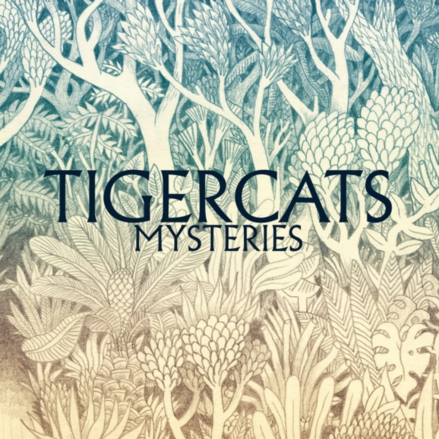 Tigercats Mysteries Vinyl Record