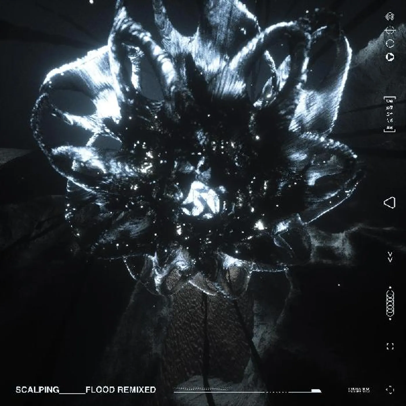 SCALPING Flood Remixed (Clear Vinyl) Vinyl Record