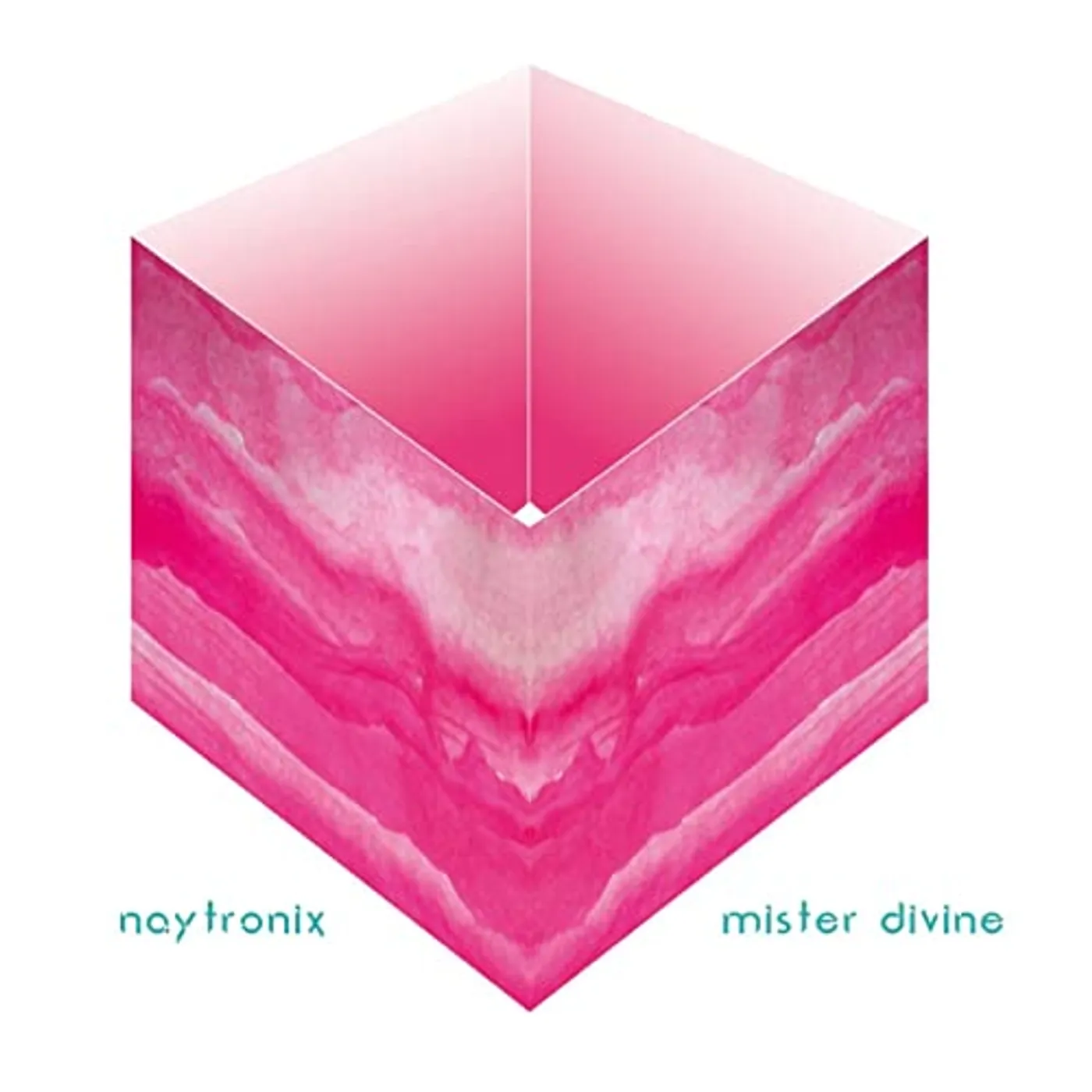 Naytronix Mister Divine Vinyl Record