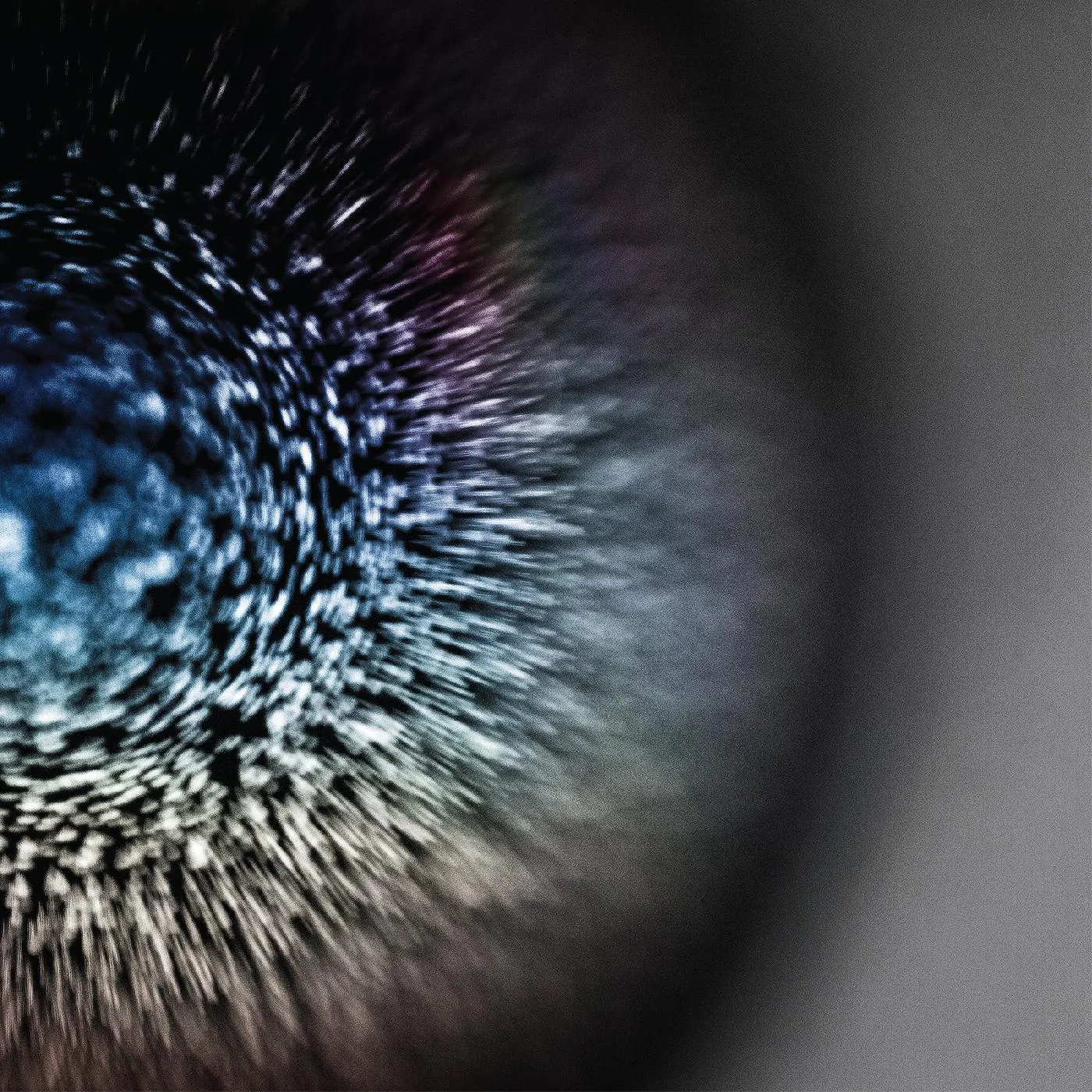 Emptyset BLOSSOMS (CLEAR VINYL) Vinyl Record
