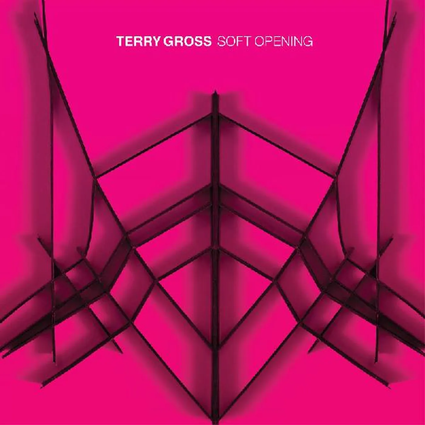 Terry Gross SOFT OPENING (TRANSLUCENT BLUE VINYL/DL CARD) Vinyl Record
