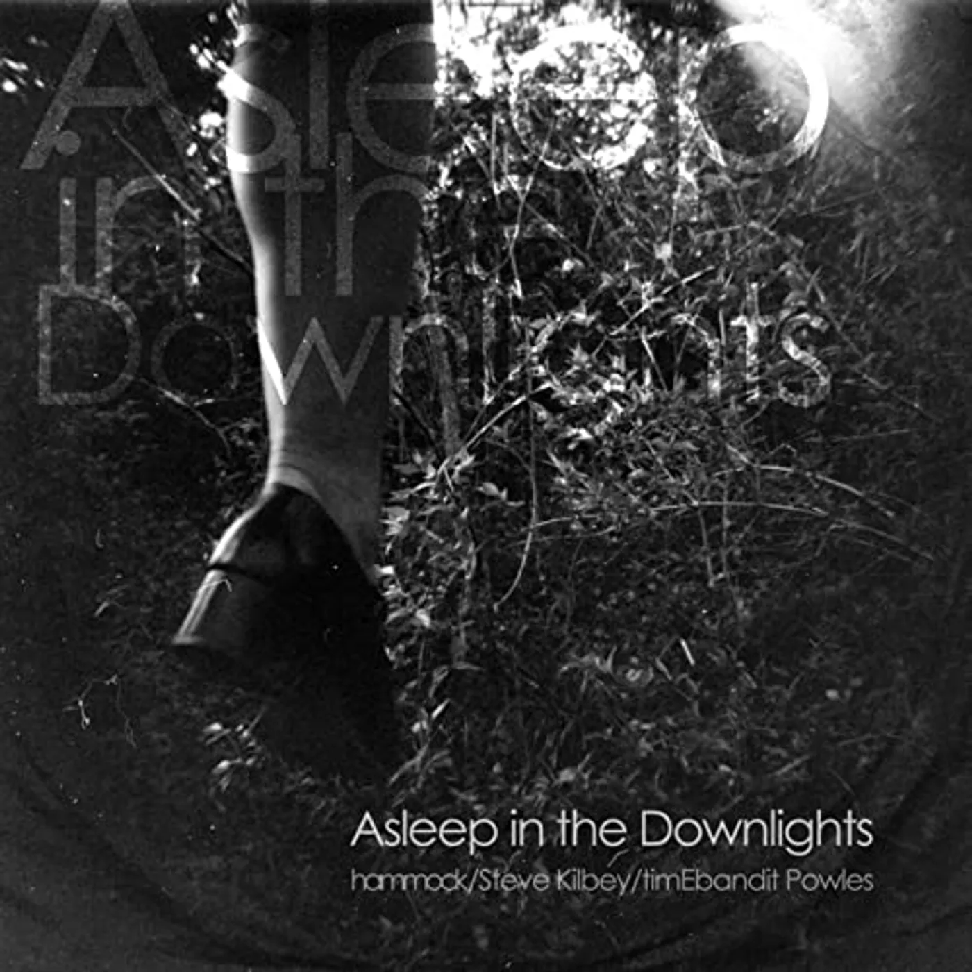 Hammock Asleep In The Downlights Vinyl Record