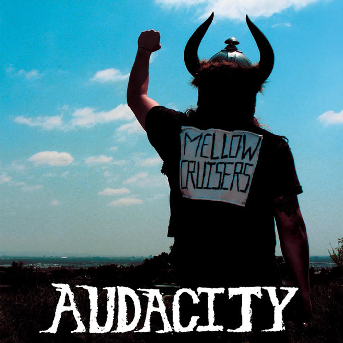 Audacity Mellow Cruisers Vinyl Record
