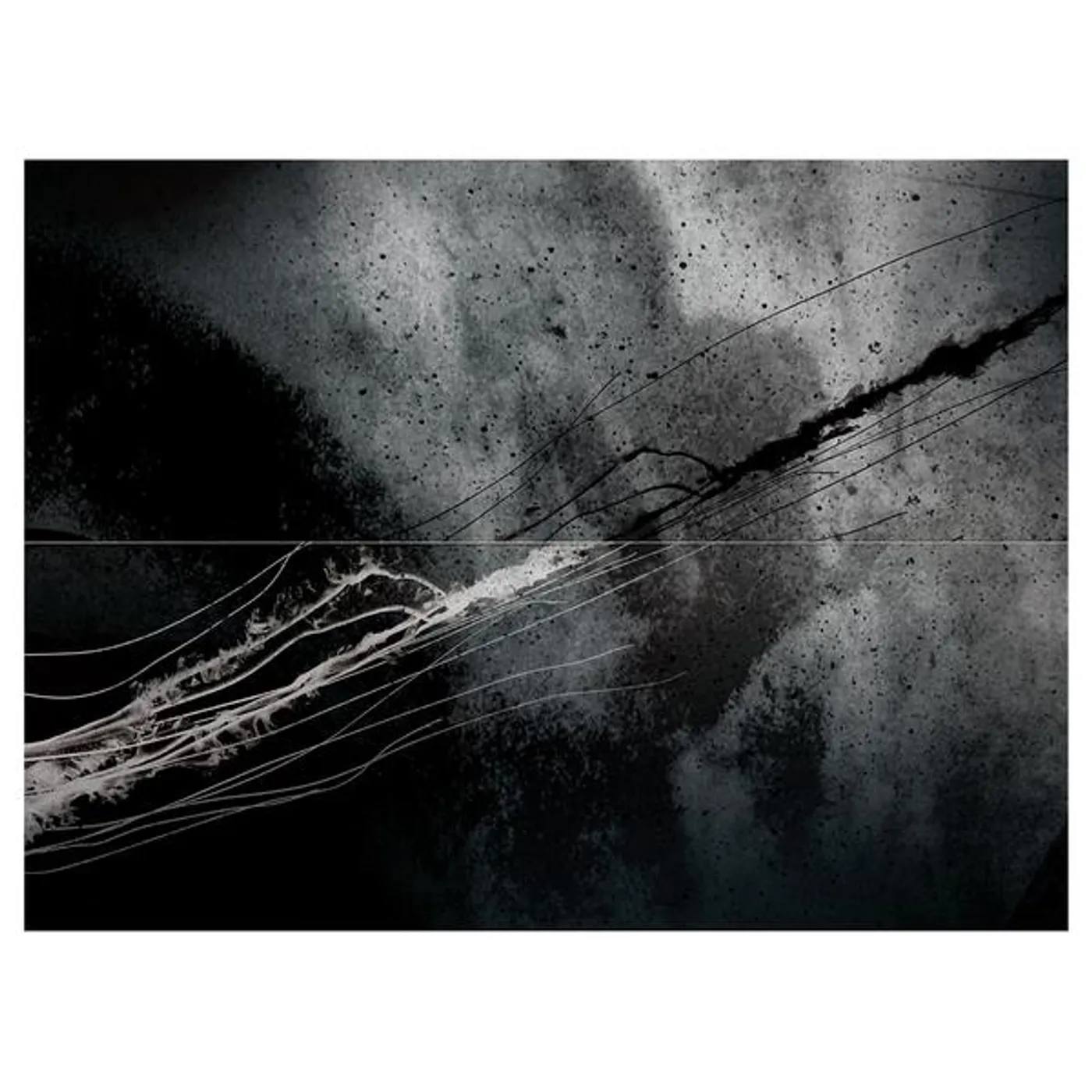 Throw Down Bones Two Vinyl Record