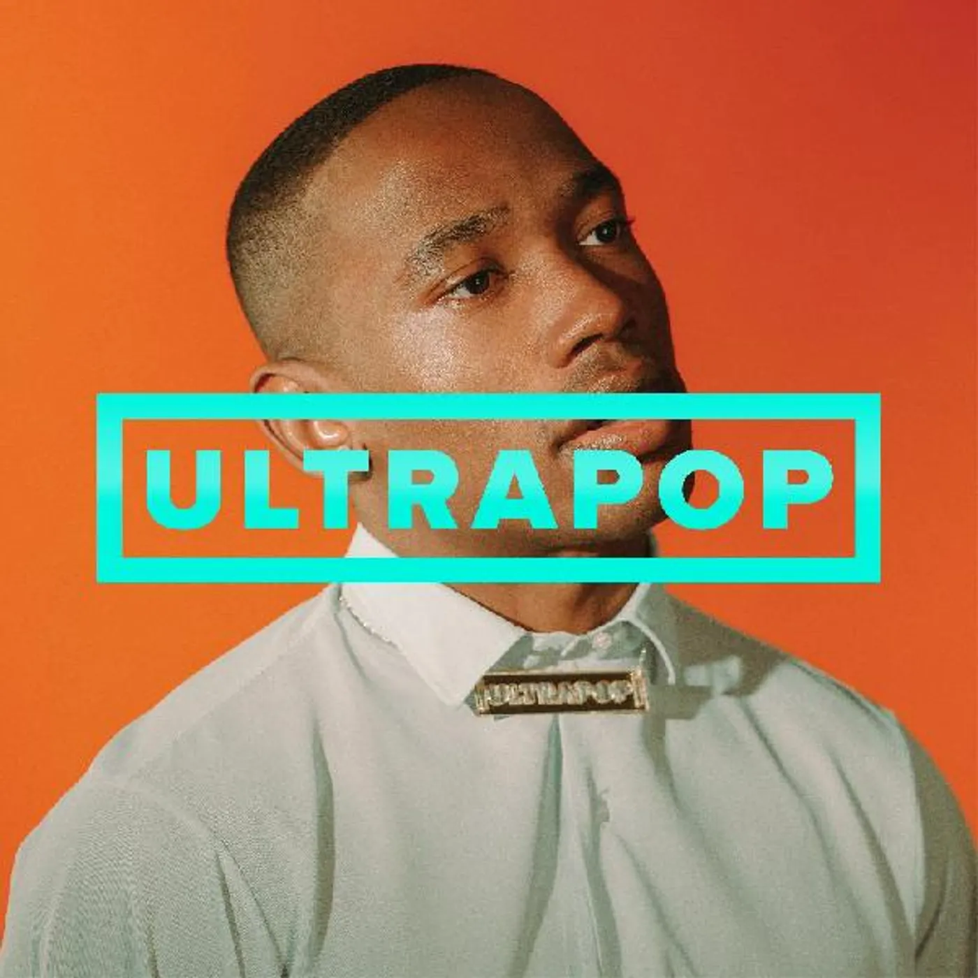 The Armed Ultrapop (Clear Vinyl) Vinyl Record