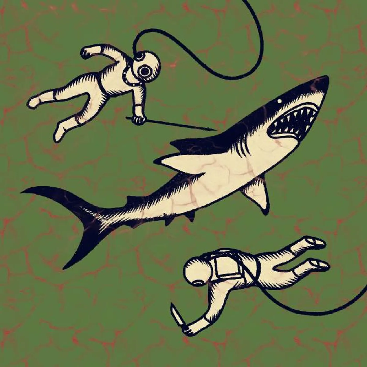 Shepparton Airplane Sharks Vinyl Record