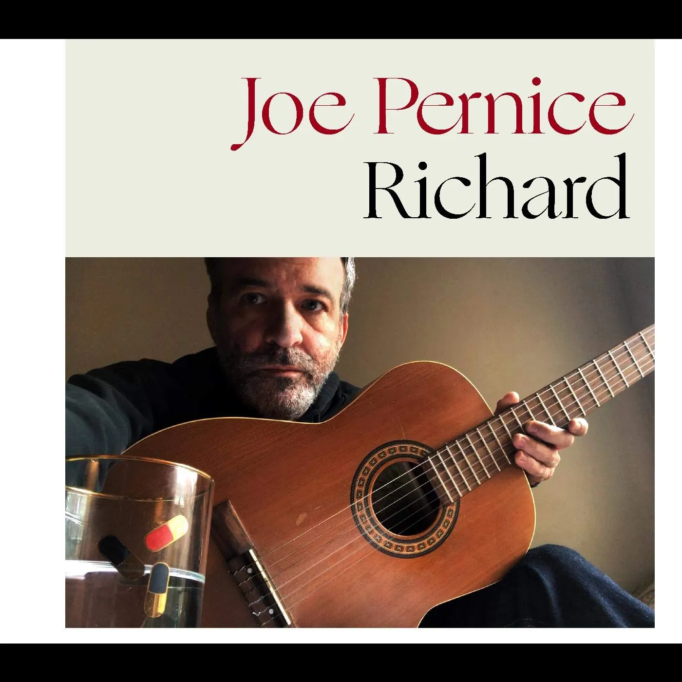 Joe Pernice Richard Vinyl Record