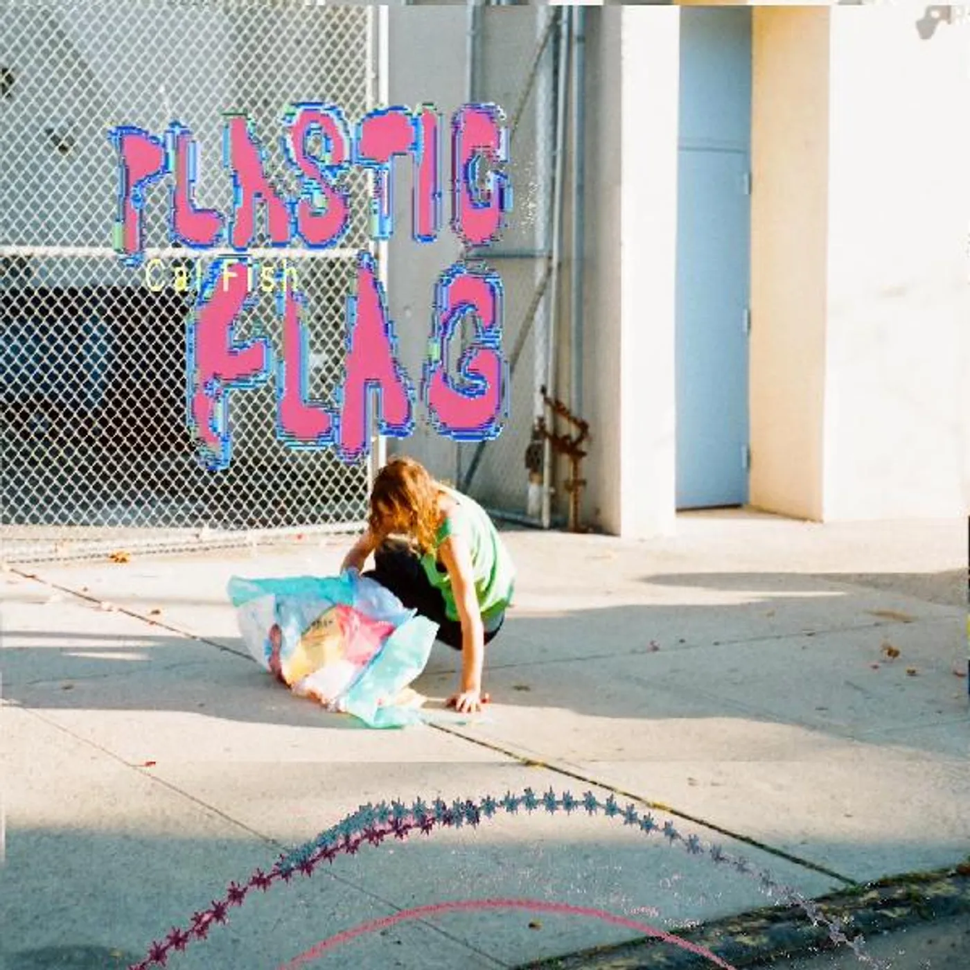 Cal Fish Plastic Flag Vinyl Record