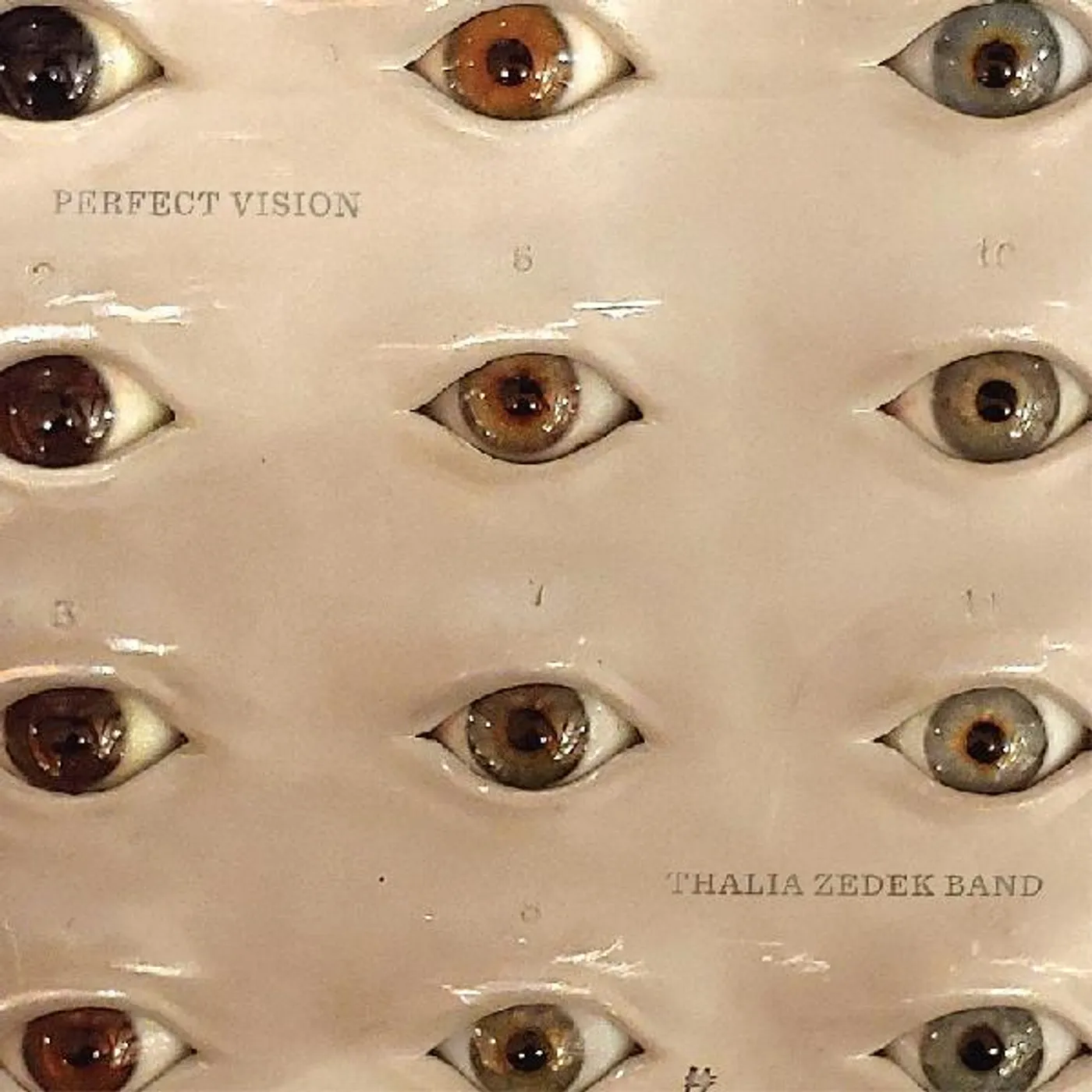 Thalia Zedek Perfect Vision Vinyl Record